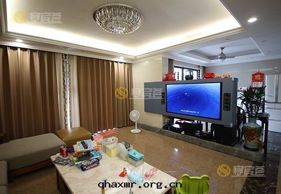 【佛山(shān)保利花(huā)園(yuán)】家(jiā)庭影院(yuàn)