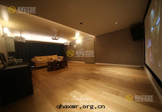 華僑城(chéng)多功能(néng)影音(yīn)室(shì)