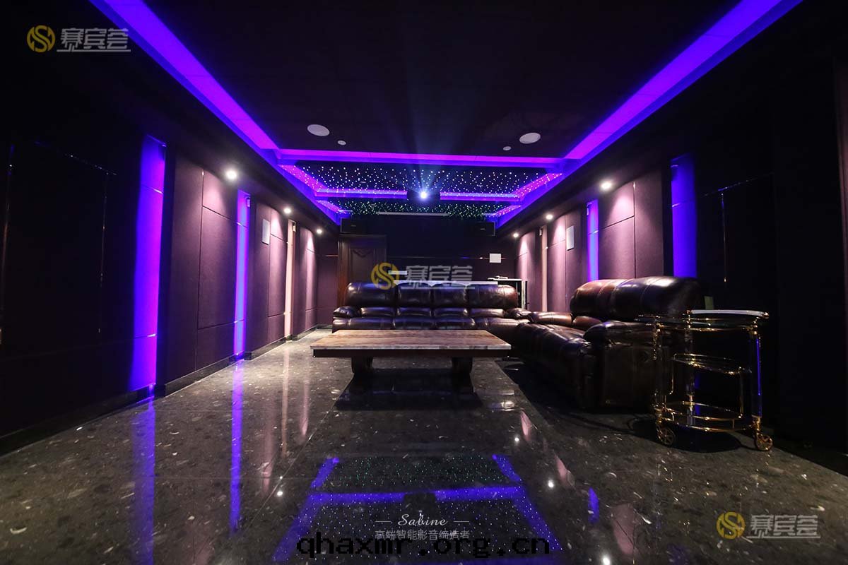 湛江家(jiā)庭影院(yuàn)