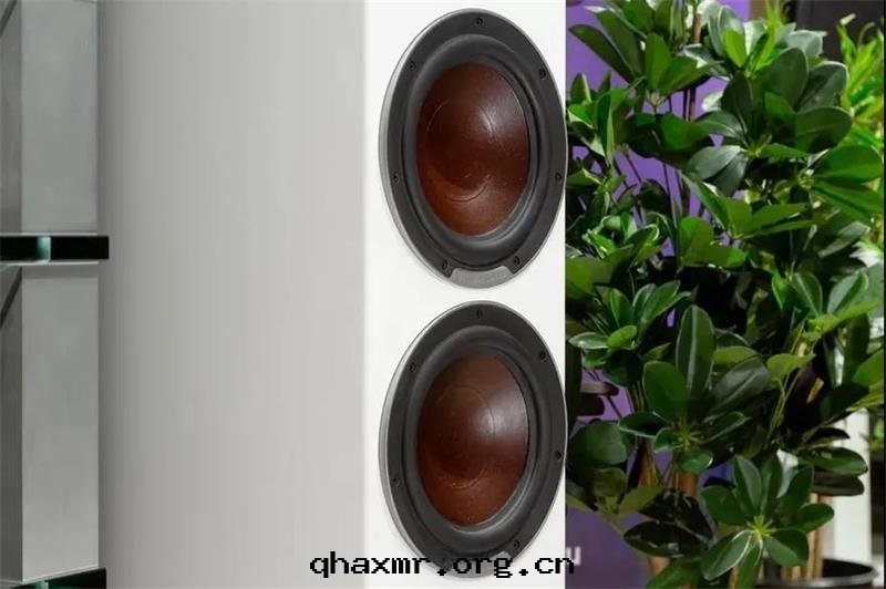 1639554388725324.jpg 8.jpg