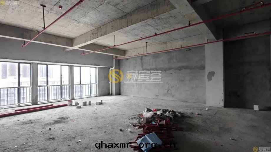 1677469185193761.jpg wps8.jpg