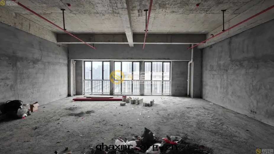 1677469204210143.jpg wps11.jpg