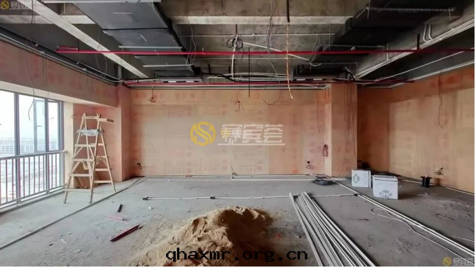 1677469227833000.jpg wps13.jpg